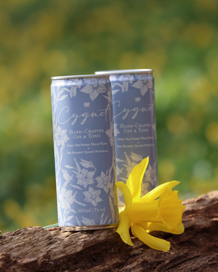 Cygnet Gin & Tonic - 12 x 250ml