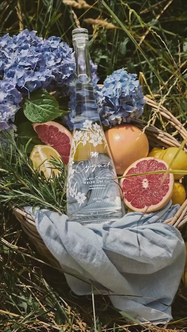 Cygnet Welsh Dry Gin