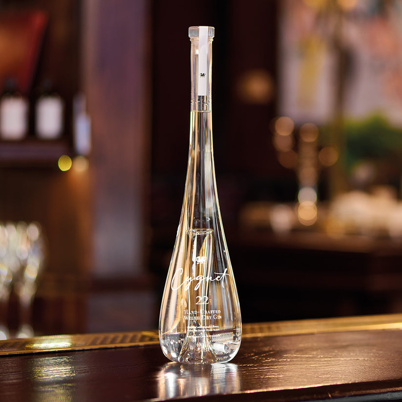 22 Welsh Dry Gin Distillery